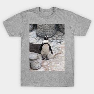 Penguin T-Shirt